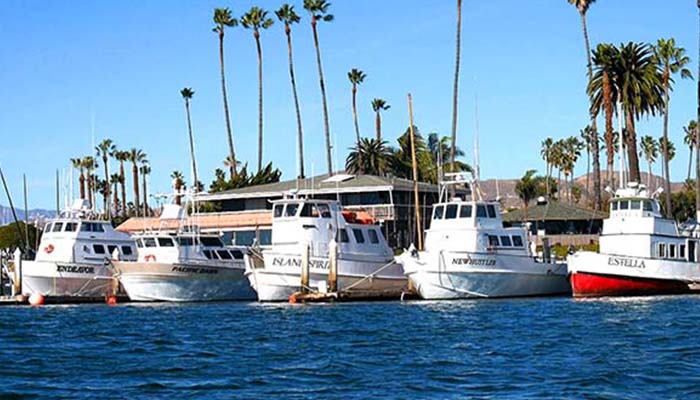 Ventura Harbor Sortfishing